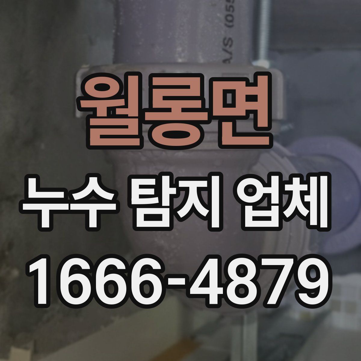 월롱면 누수 탐지 업체