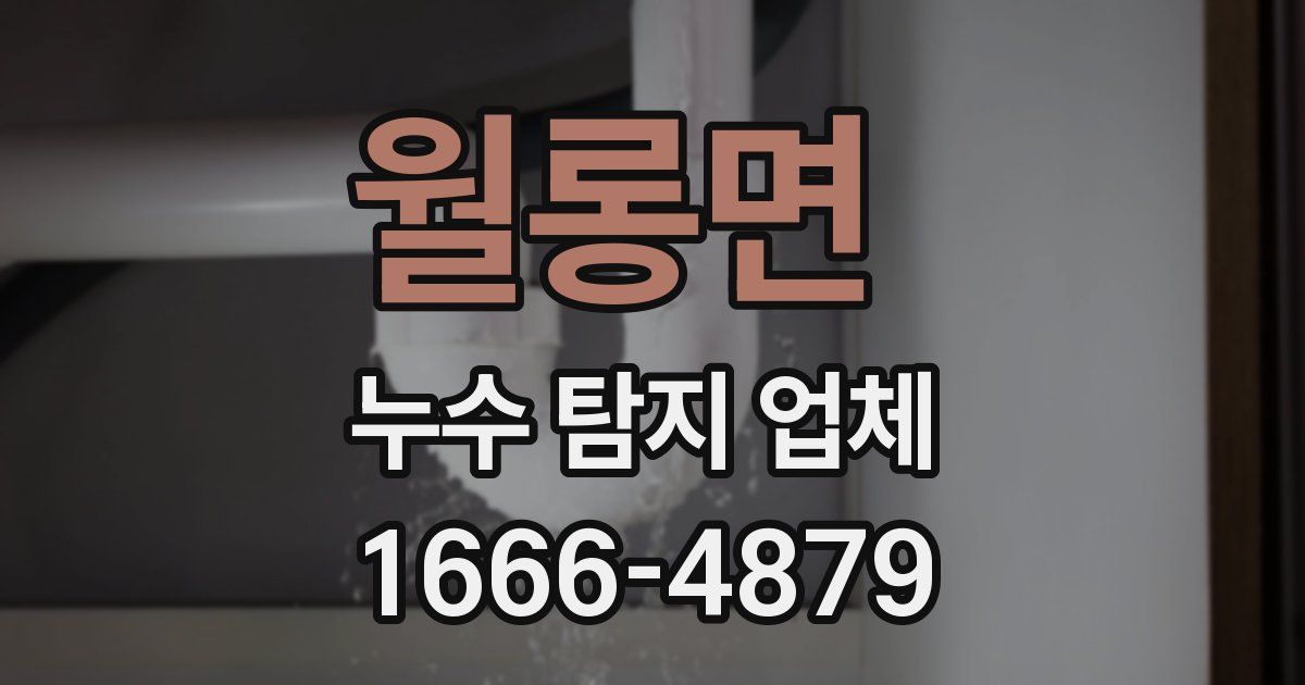 월롱면 누수 탐지 업체