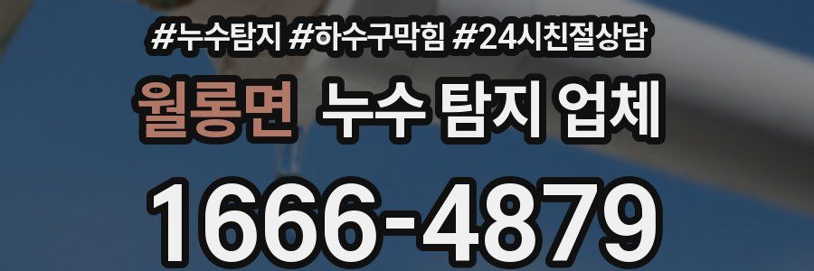 월롱면 누수 탐지 업체