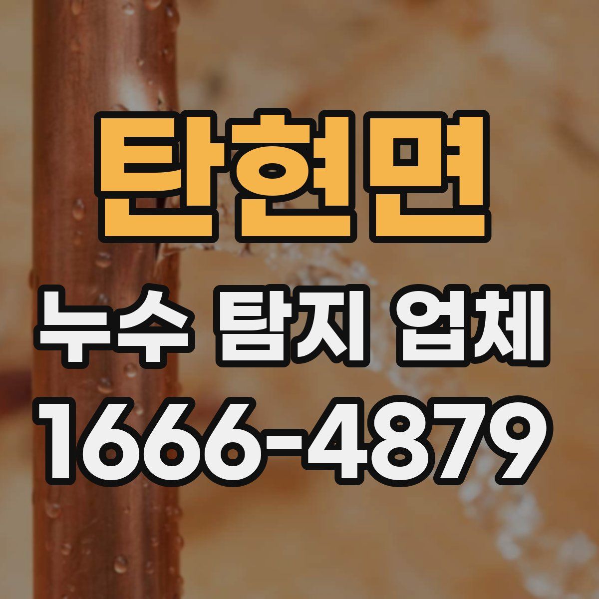 탄현면 누수 탐지 업체