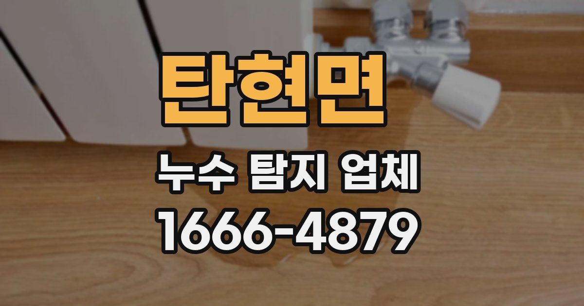탄현면 누수 탐지 업체