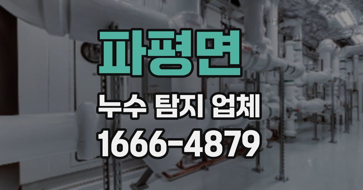 파평면 누수 탐지 업체