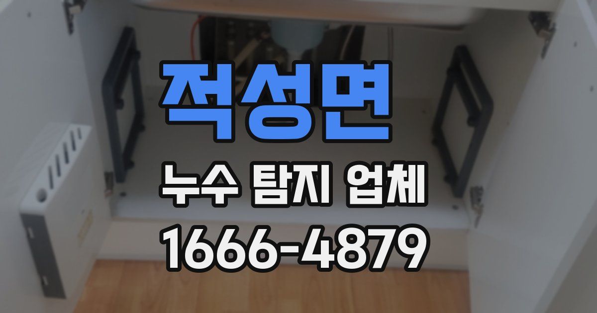 적성면 누수 탐지 업체