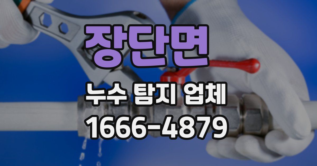 장단면 누수 탐지 업체