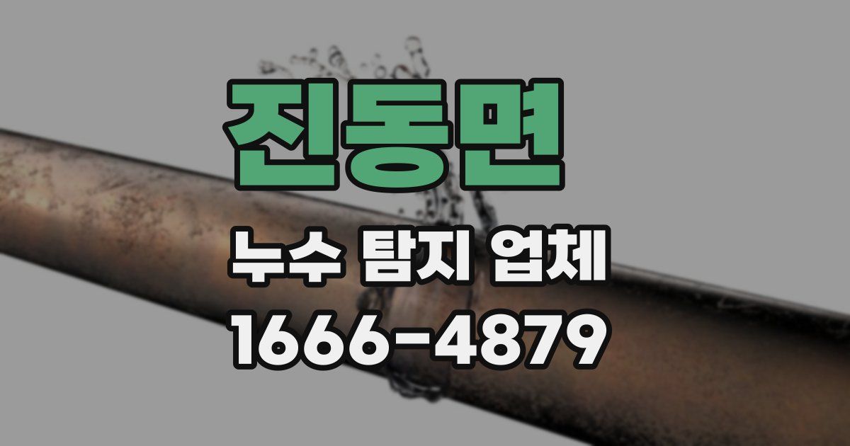 진동면 누수 탐지 업체