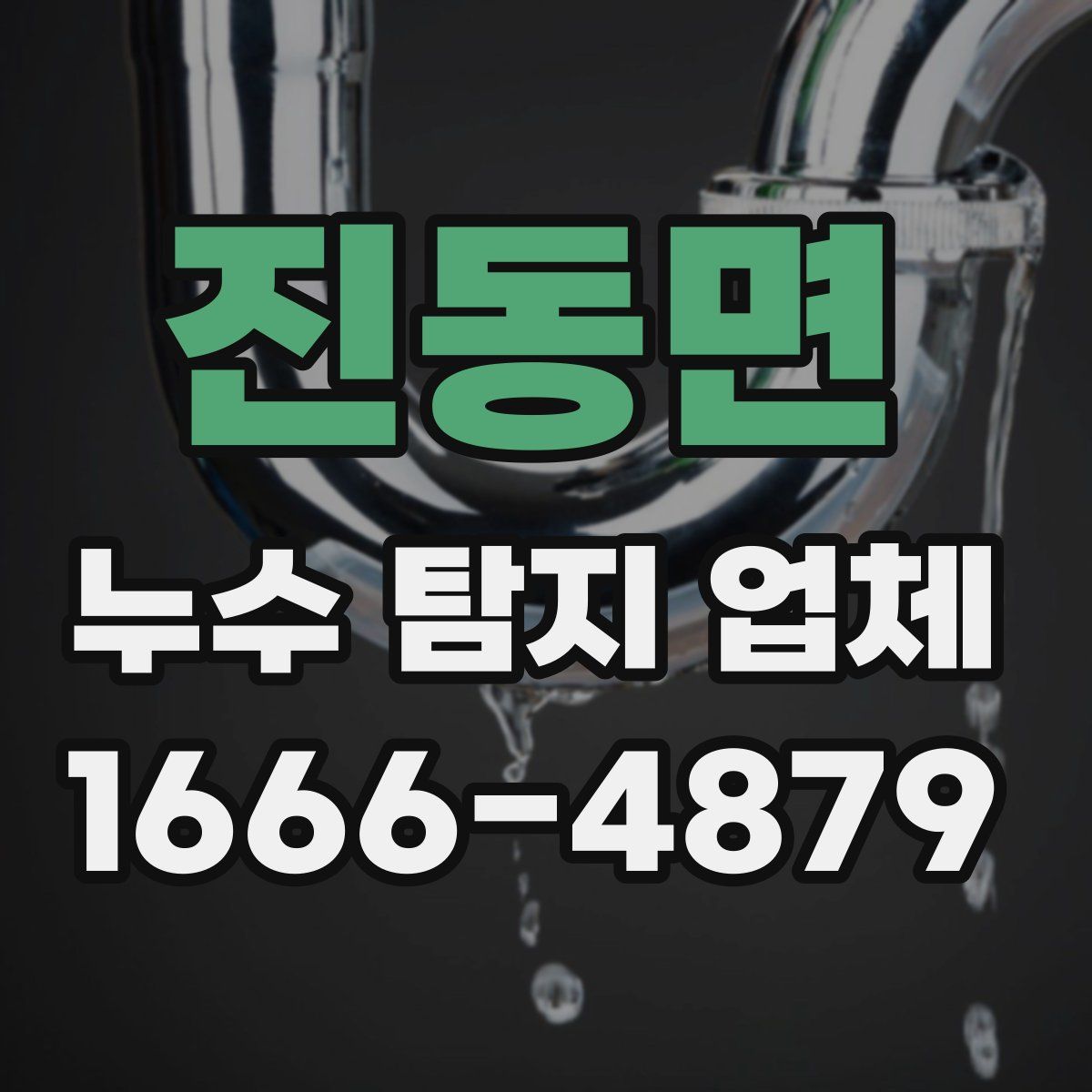 진동면 누수 탐지 업체