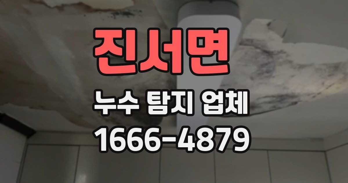 진서면 누수 탐지 업체