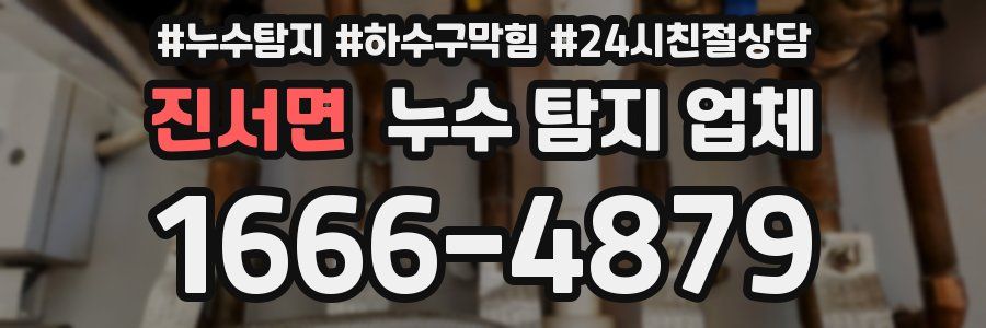 진서면 누수 탐지 업체