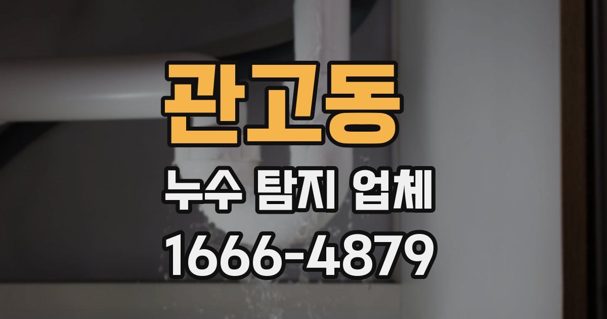 관고동 누수 탐지 업체