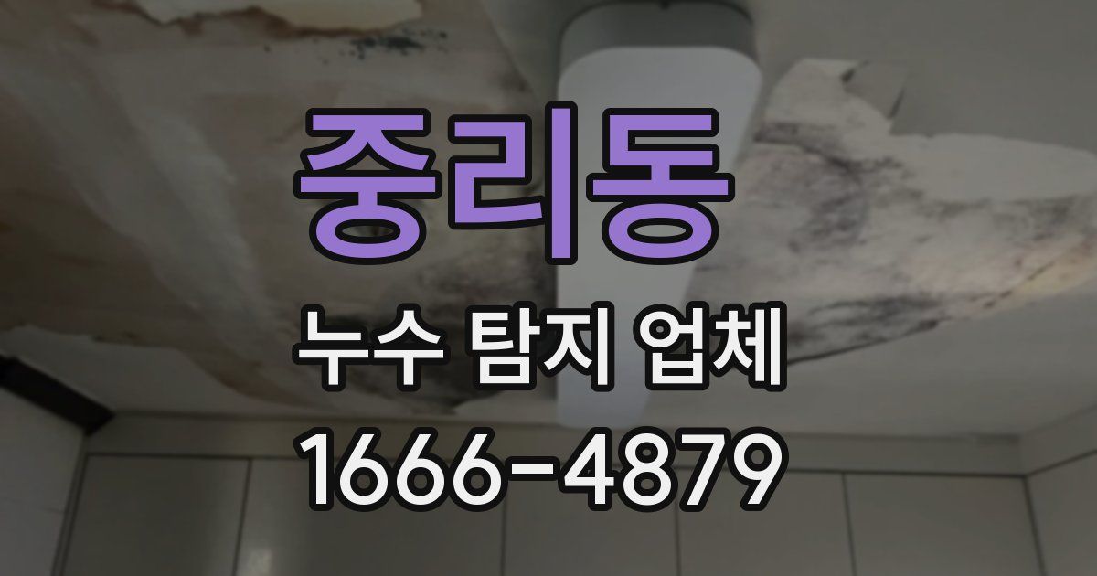 중리동 누수 탐지 업체