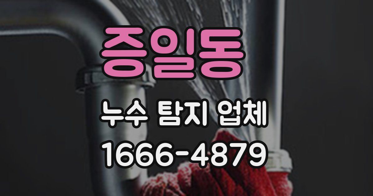 증일동 누수 탐지 업체