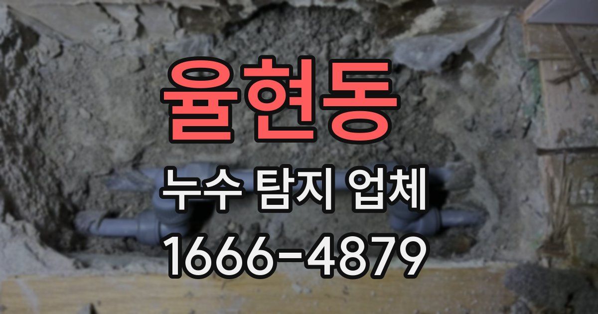 율현동 누수 탐지 업체