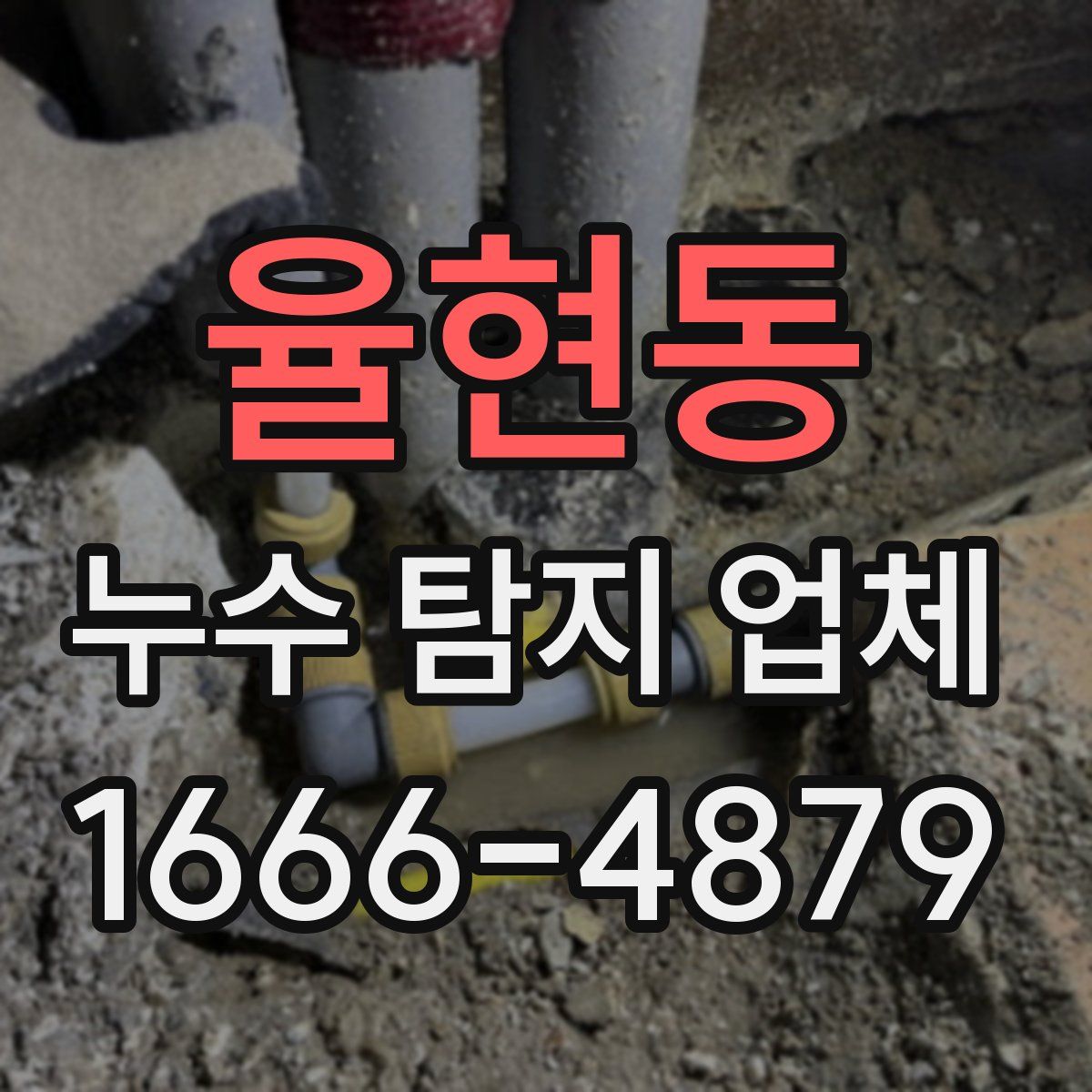 율현동 누수 탐지 업체