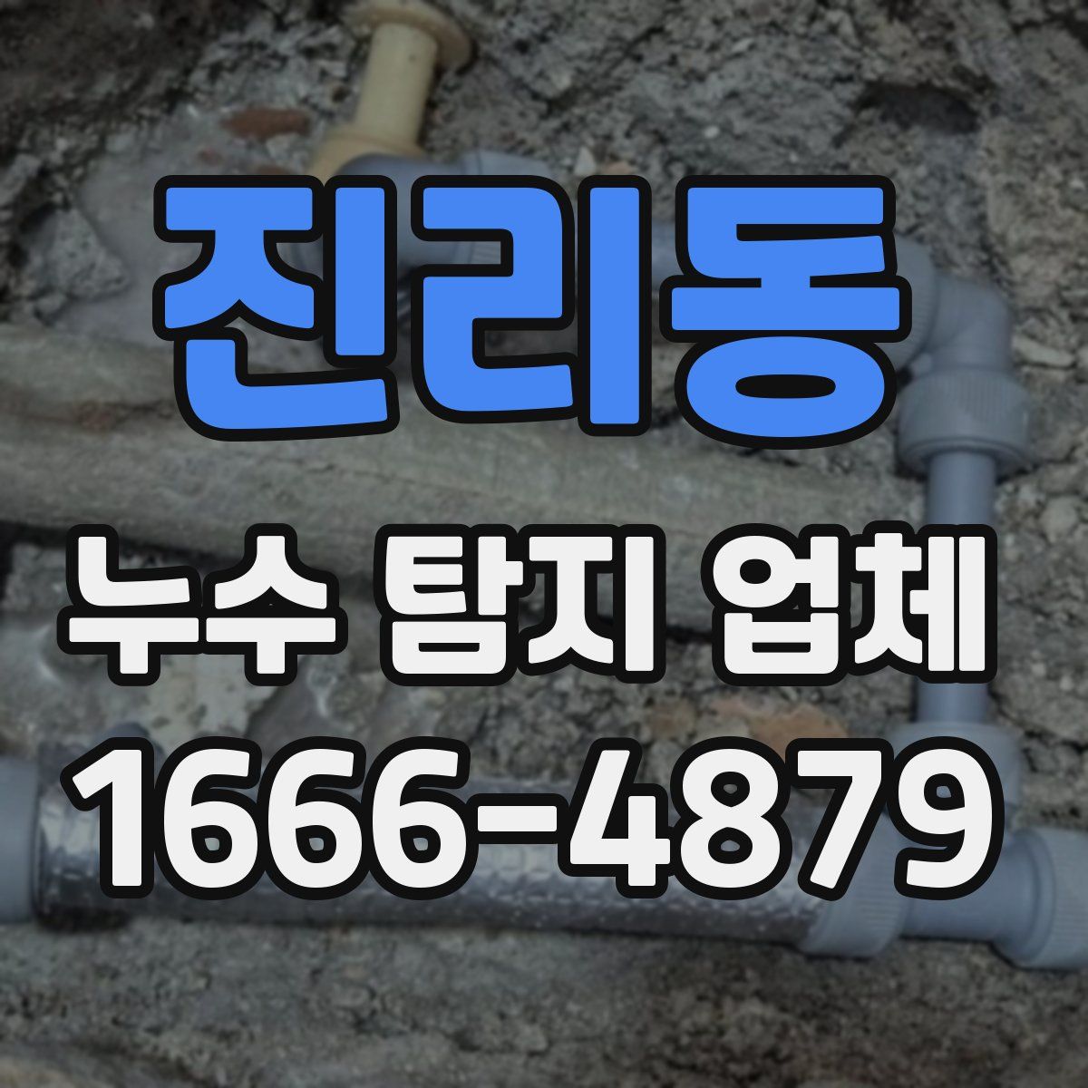 진리동 누수 탐지 업체