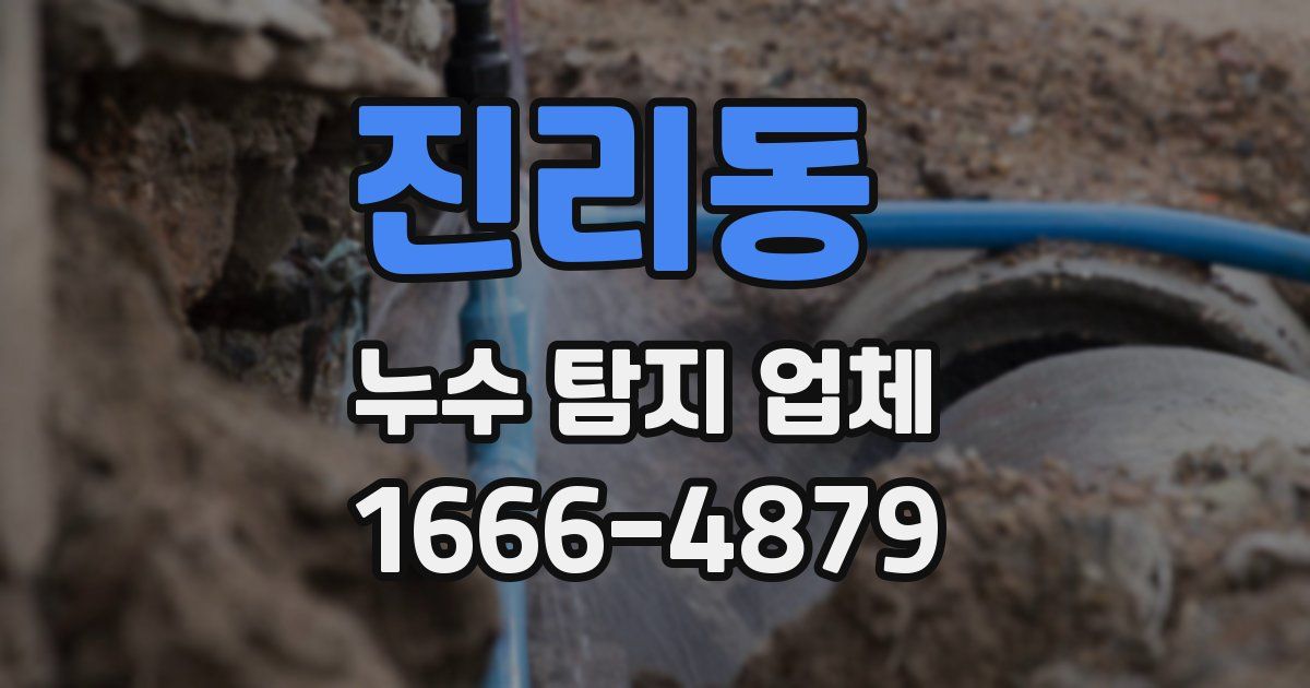 진리동 누수 탐지 업체