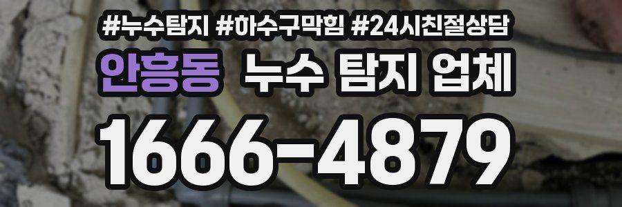 안흥동 누수 탐지 업체