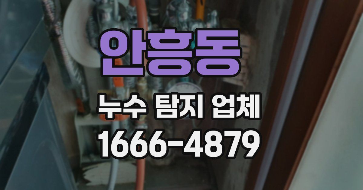 안흥동 누수 탐지 업체