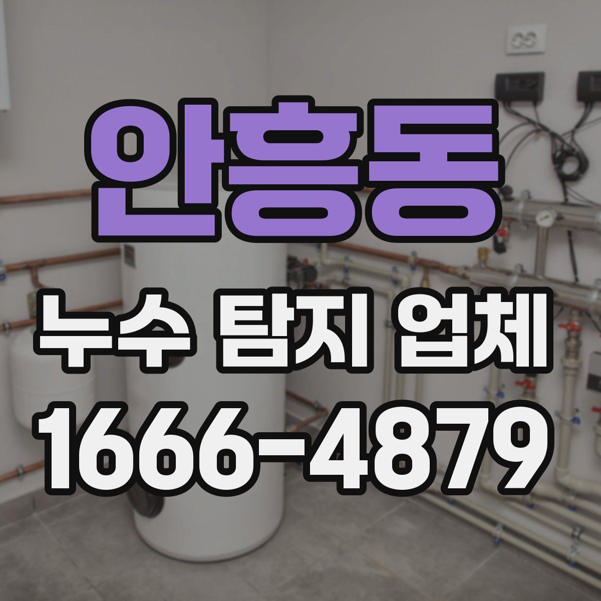 안흥동 누수 탐지 업체