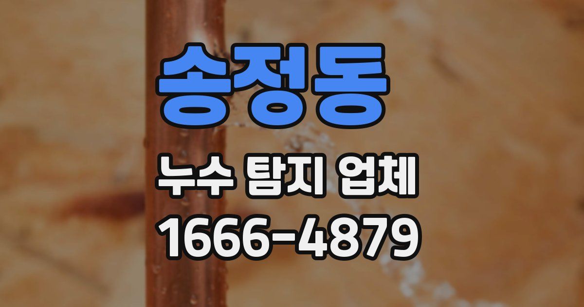 송정동 누수 탐지 업체