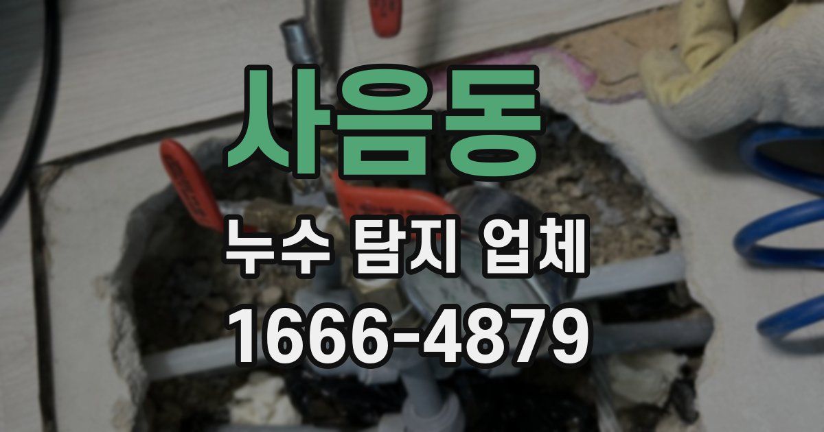 사음동 누수 탐지 업체