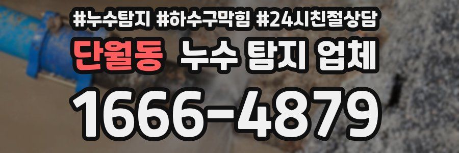 단월동 누수 탐지 업체