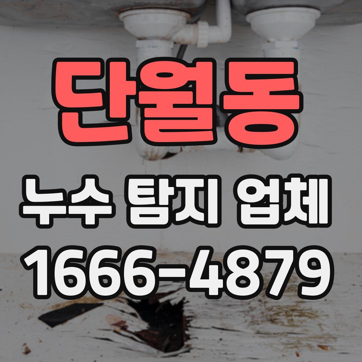 단월동 누수 탐지 업체
