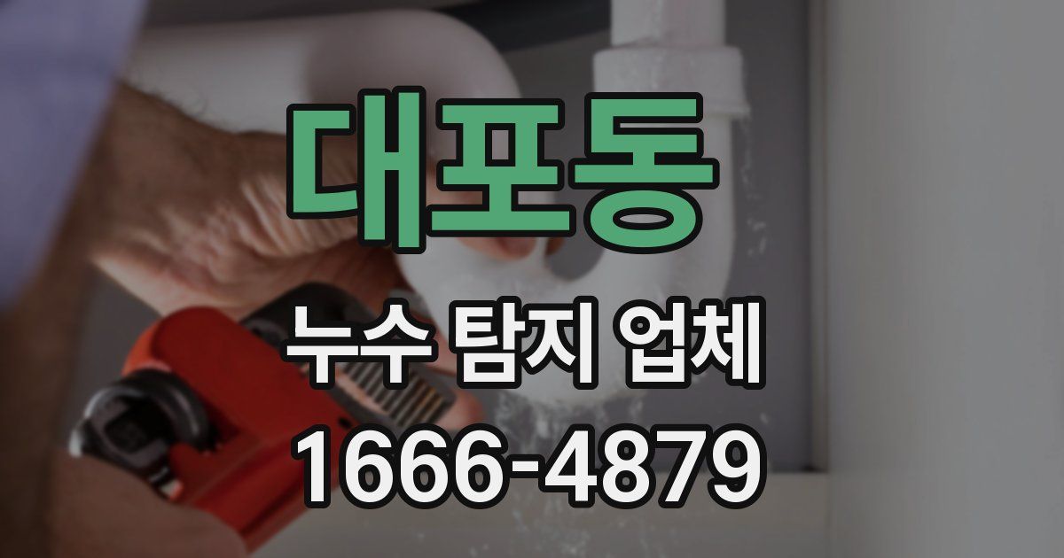 대포동 누수 탐지 업체