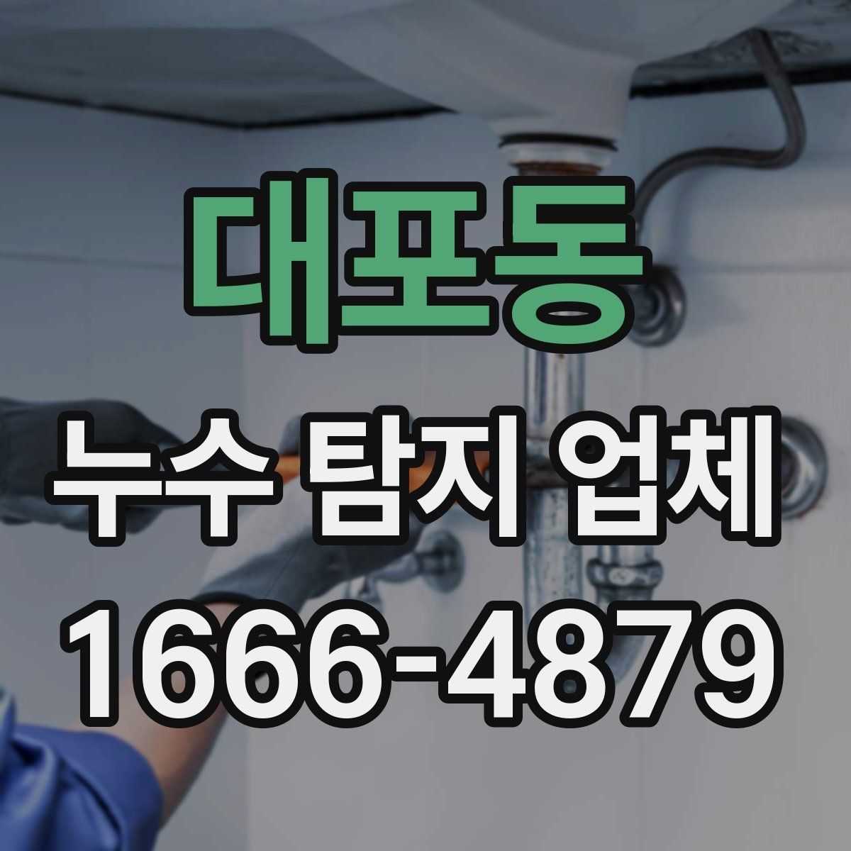 대포동 누수 탐지 업체