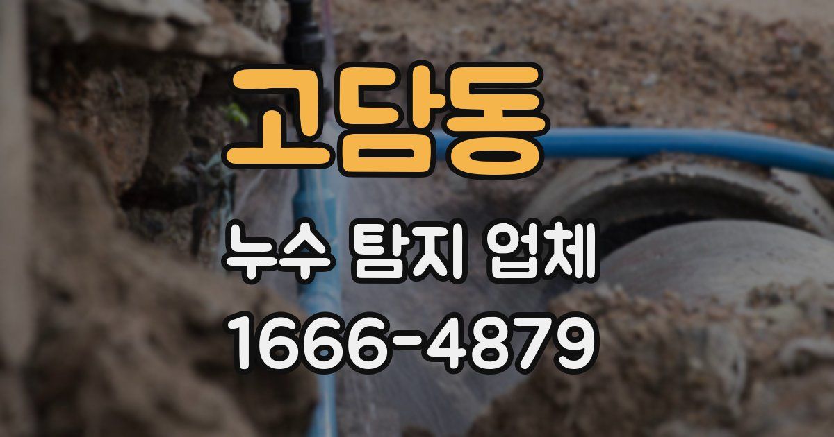고담동 누수 탐지 업체