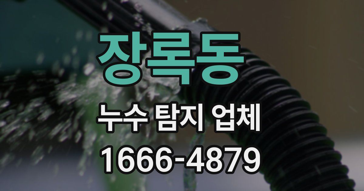 장록동 누수 탐지 업체