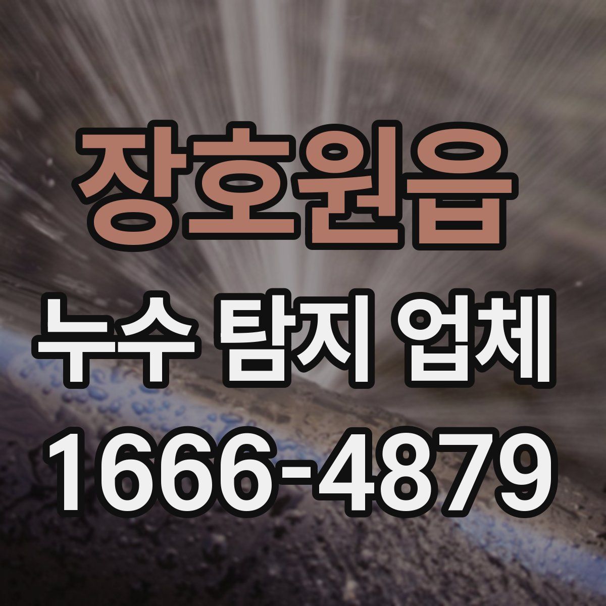 장호원읍 누수 탐지 업체