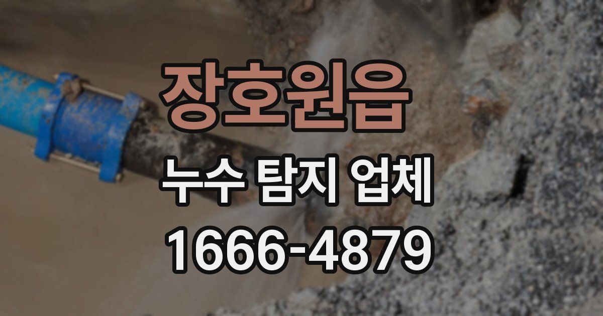 장호원읍 누수 탐지 업체