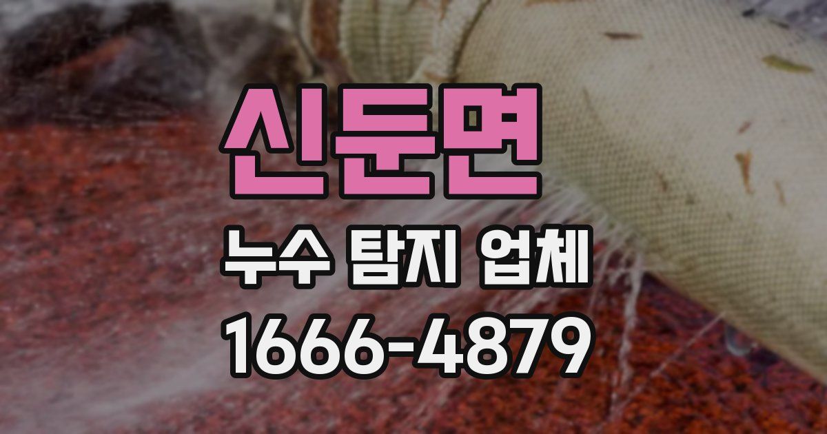 신둔면 누수 탐지 업체