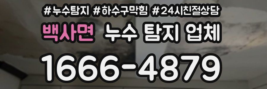 백사면 누수 탐지 업체