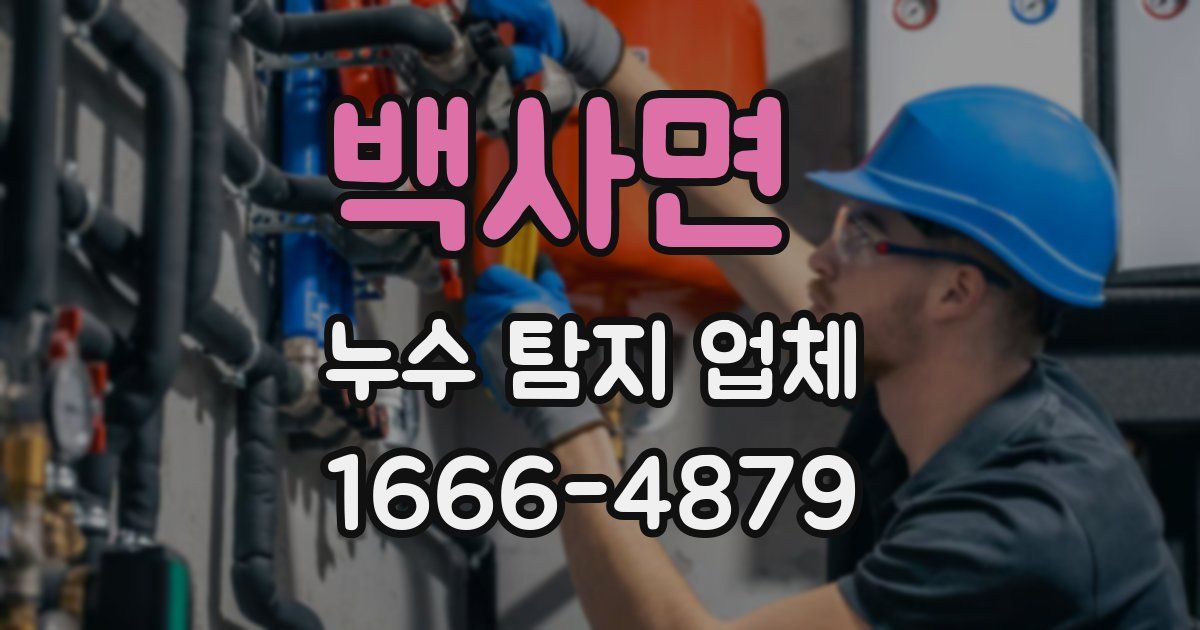 백사면 누수 탐지 업체
