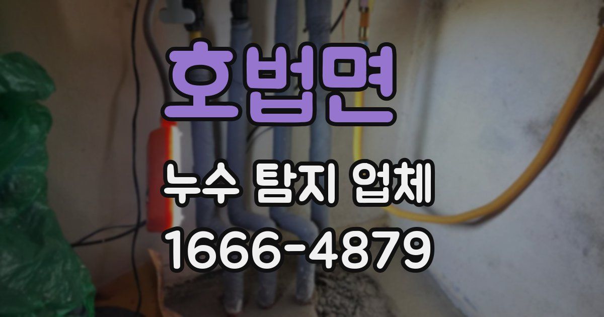 호법면 누수 탐지 업체