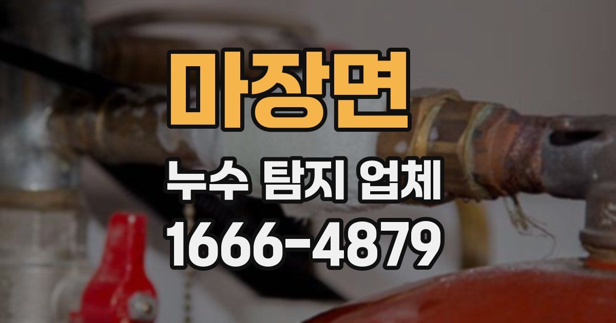 마장면 누수 탐지 업체