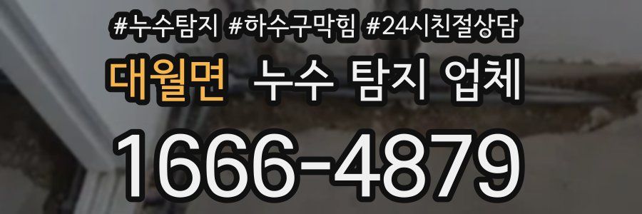 대월면 누수 탐지 업체