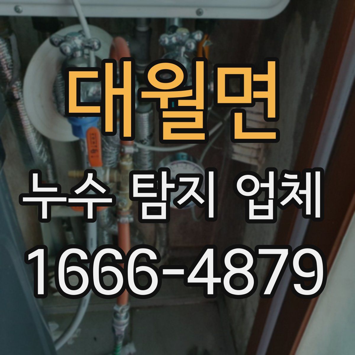 대월면 누수 탐지 업체