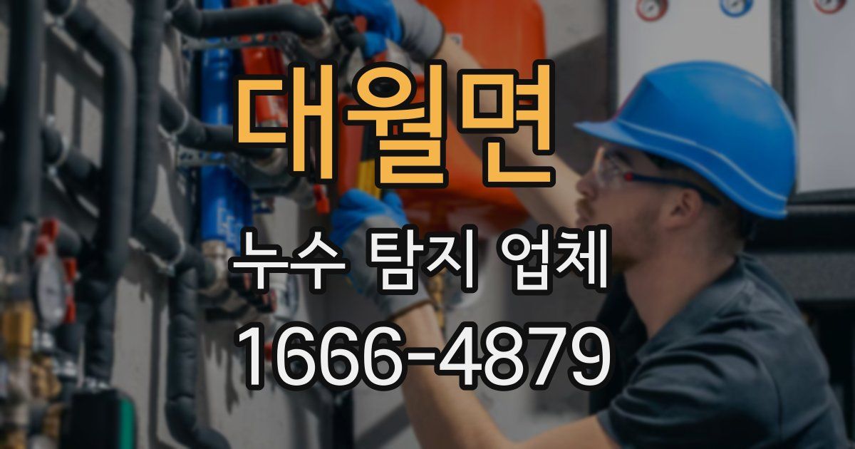 대월면 누수 탐지 업체