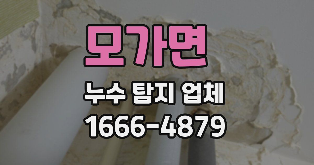 모가면 누수 탐지 업체