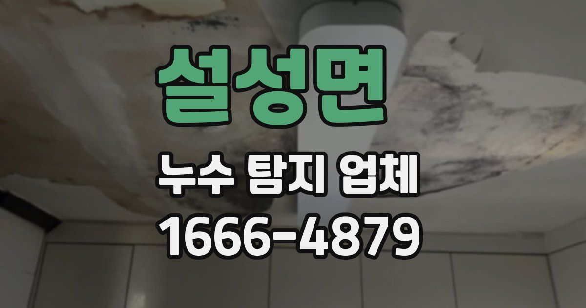 설성면 누수 탐지 업체