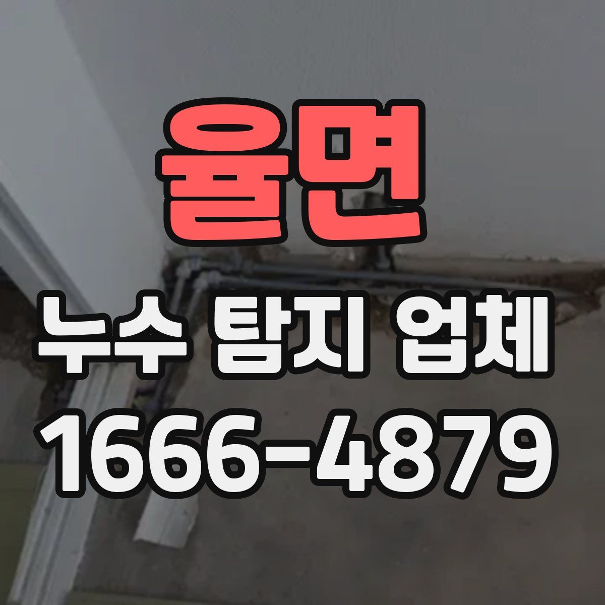 율면 누수 탐지 업체