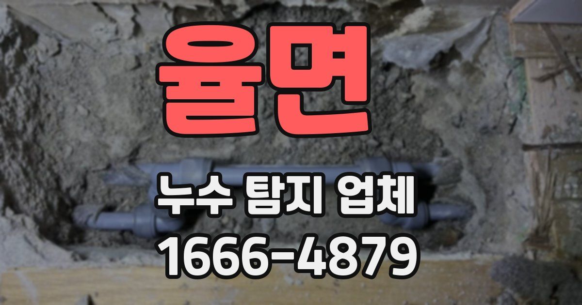 율면 누수 탐지 업체