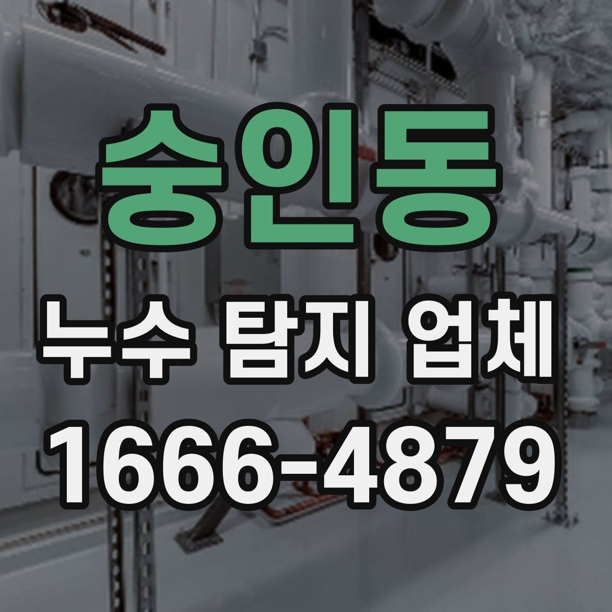 숭인동 누수 탐지 업체