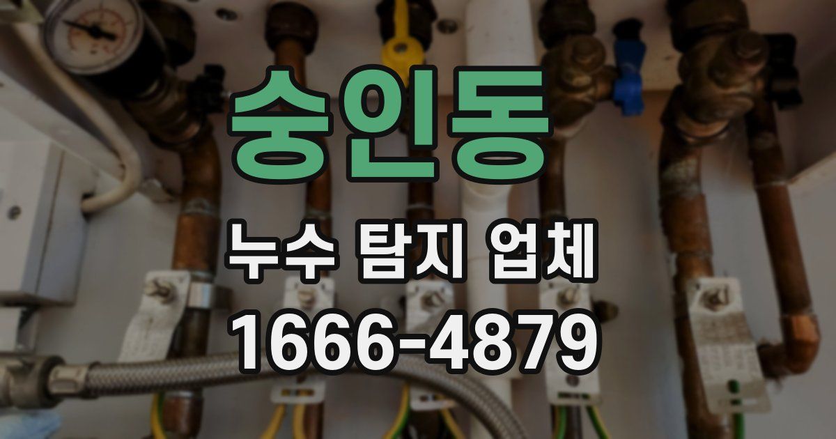 숭인동 누수 탐지 업체