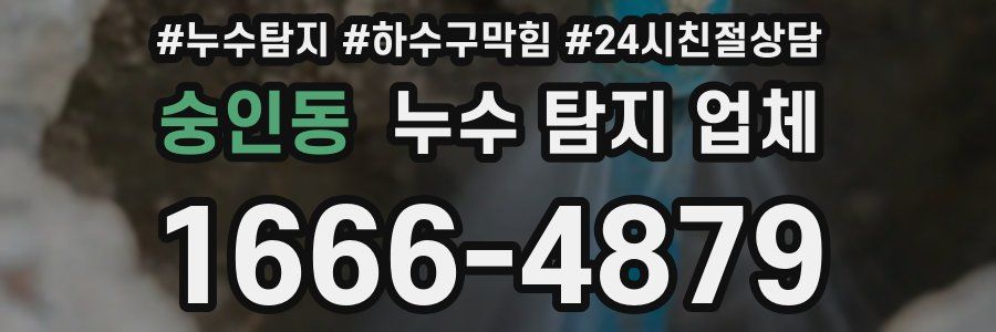 숭인동 누수 탐지 업체