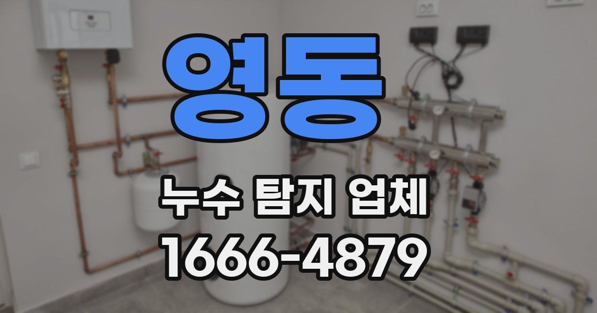 영동 누수 탐지 업체
