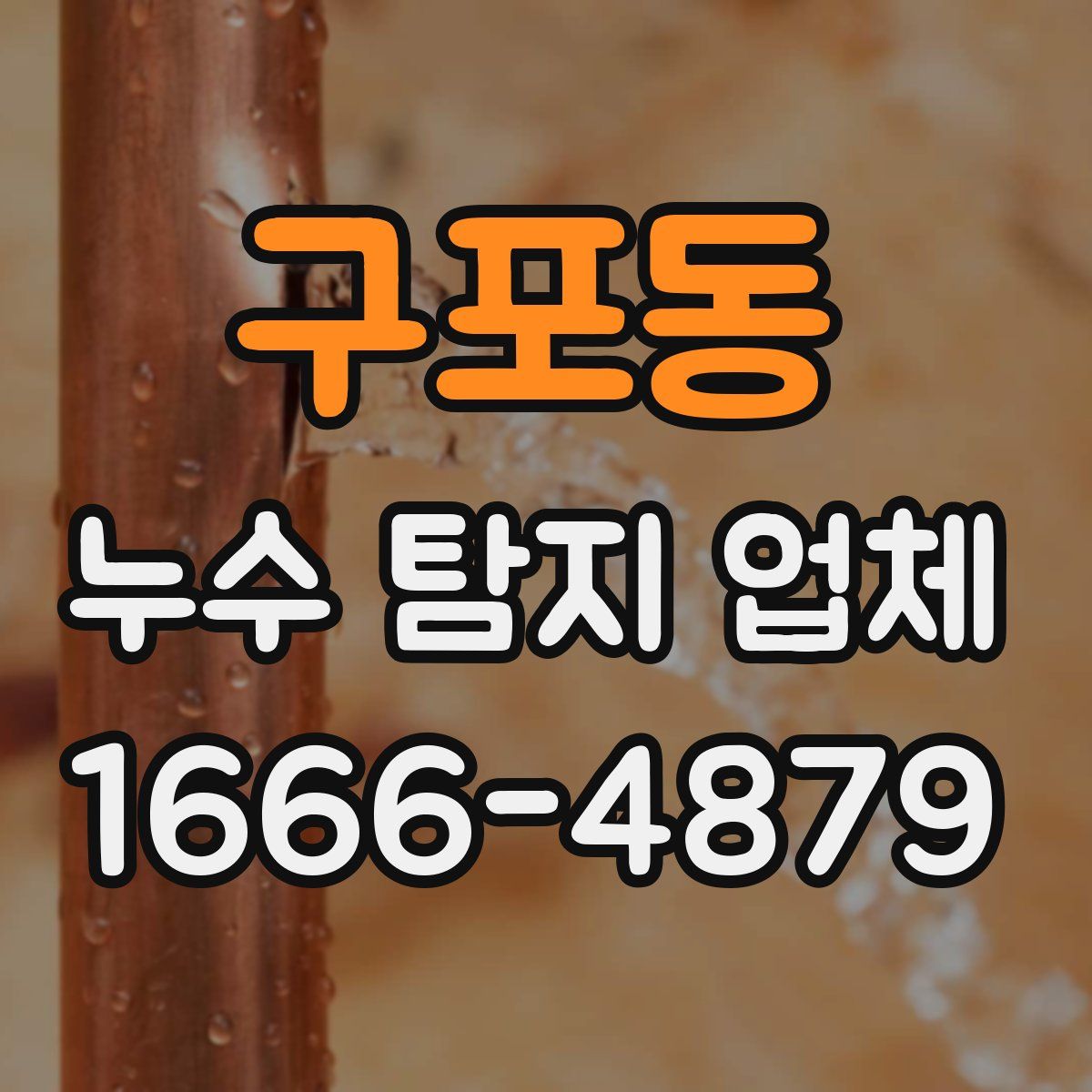 구포동 누수 탐지 업체