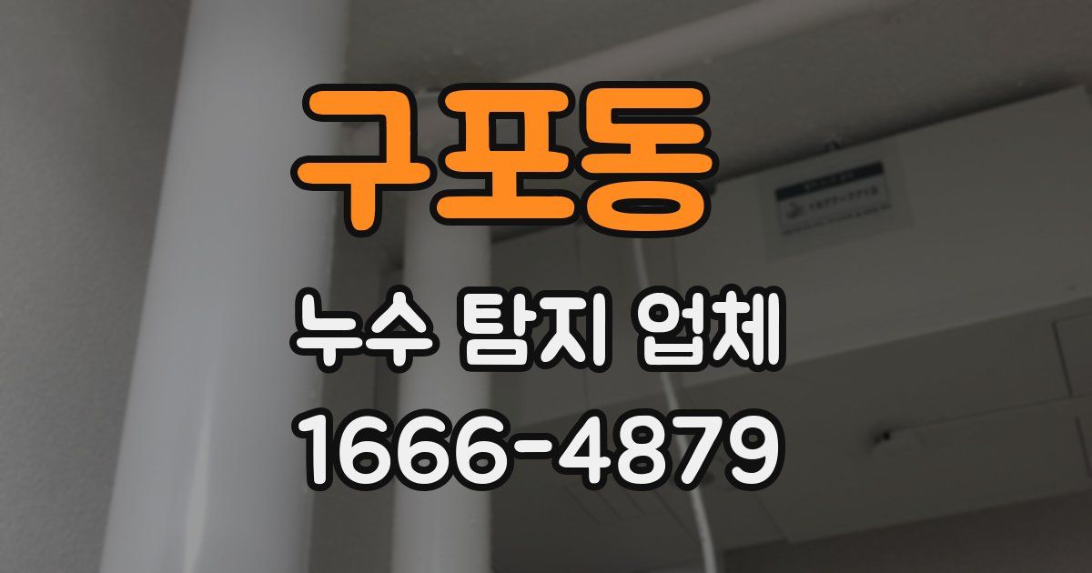 구포동 누수 탐지 업체